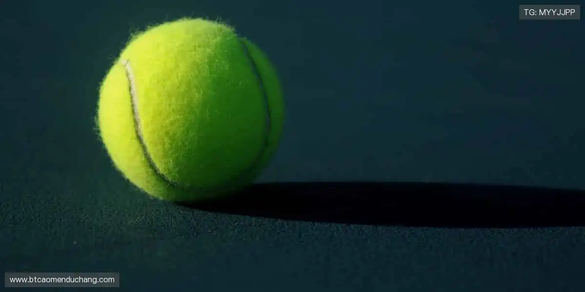 高清多品类盛宴:手机麻将真人扑克,升级娱乐中